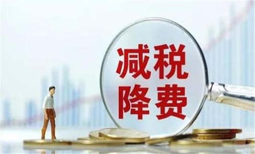 高新技術(shù)企業(yè)認(rèn)定條件及稅收優(yōu)惠政策詳解