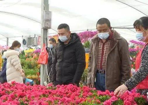 鮮花消費熱潮涌動 美團外賣銷售激增與產業(yè)升級并行